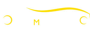 centro revisioni