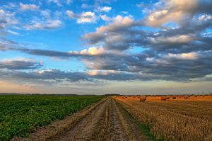 directory aziende agricole